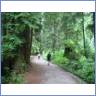 The Bridal Trail, Stanley Park